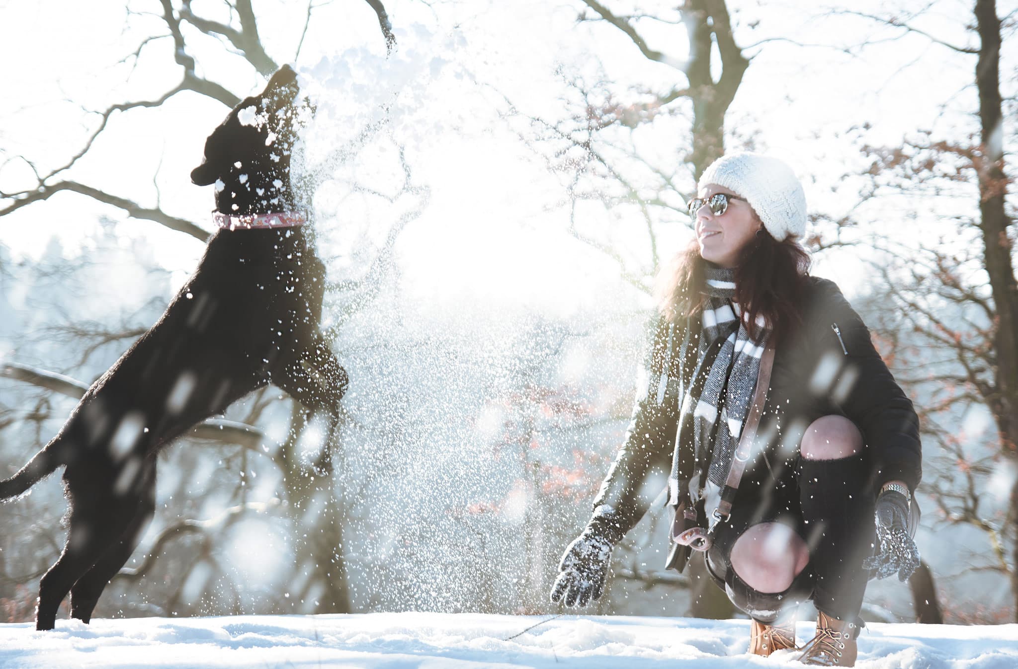 Ein Spaziergang mit Hund im verschneiten Winterwunderland